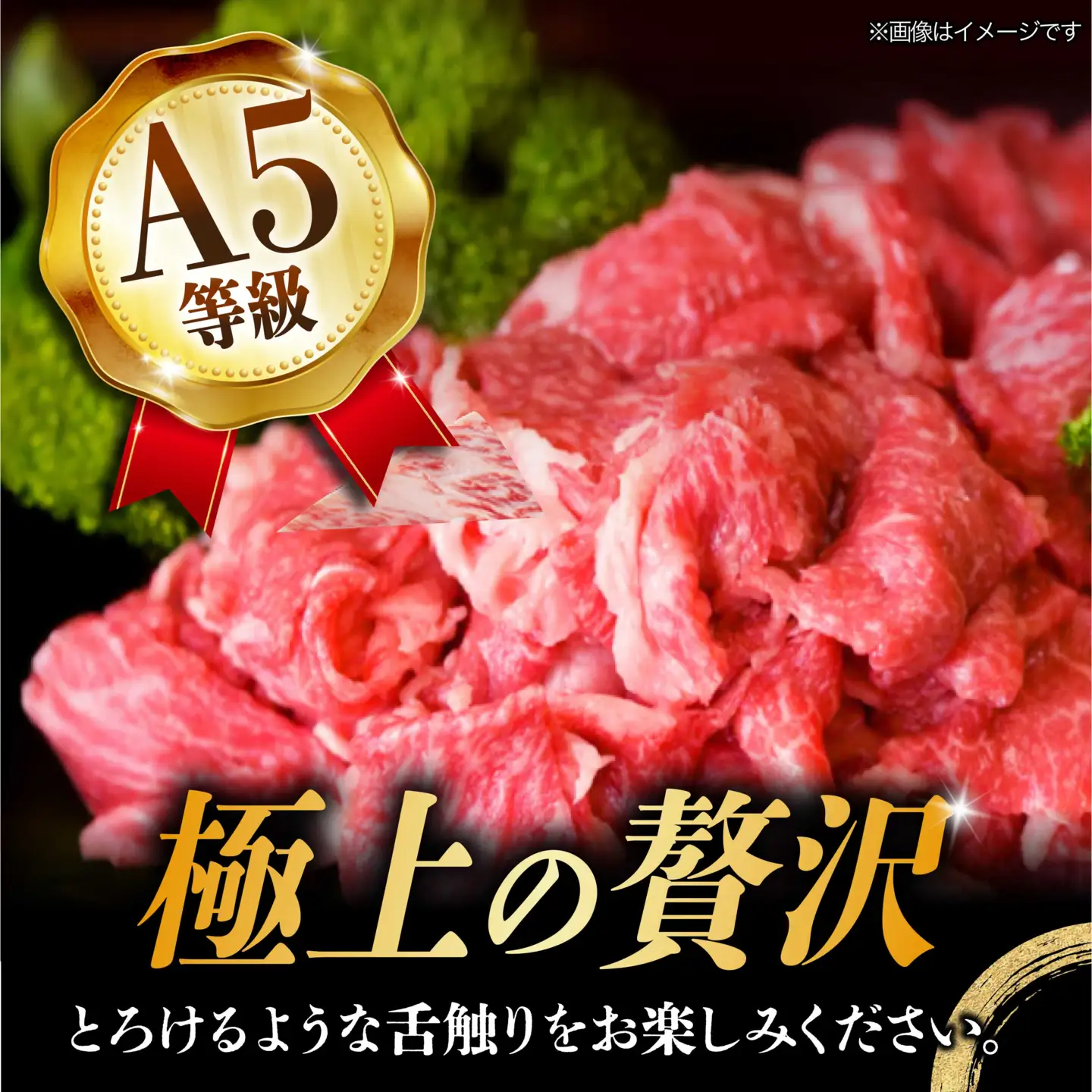 【10月発送】【飛騨牛】 切り落とし 500g 和牛 ブランド牛 国産 牛肉 多治見市 / 渡辺精肉店 [TAZ004-10]