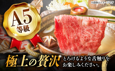 【10月発送】【飛騨牛 すき焼き用】 A5等級 ロース / 肩ロース 500g 和牛 ブランド牛 国産 牛肉 多治見市 / 渡辺精肉店 [TAZ006-10]