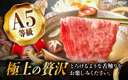 【10月発送】【飛騨牛 しゃぶしゃぶ用】 A5等級 ロース / 肩ロース 1kg 和牛 ブランド牛 国産 牛肉 多治見市 / 渡辺精肉店 [TAZ011-10]