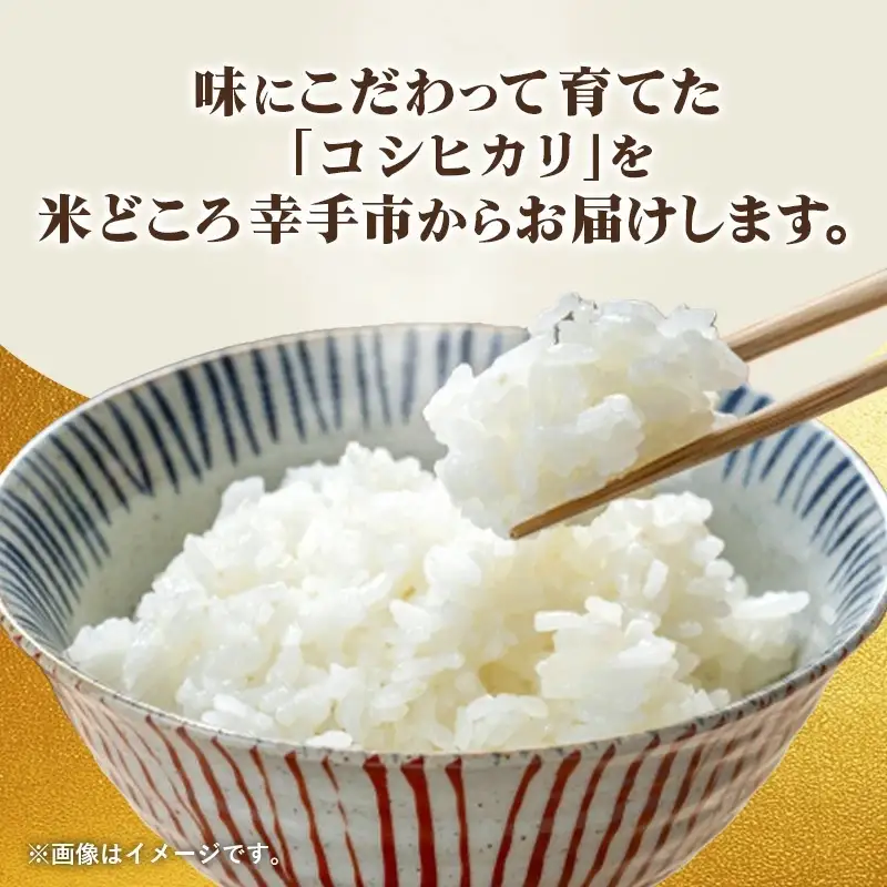 埼玉県幸手市産神扇機械化センターさんのコシヒカリ5kg×2 - 10kg 米 精米 食味 こだわり