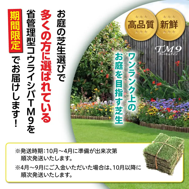 TM9（ティーエムナイン）省管理型 コウライシバ トヨタ自動車(株)開発品種 2平米 KN080-007-02 芝生 芝 庭