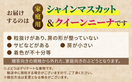 【先行受付2026年発送】家庭用シャインマスカット＆クイーンニーナ　合計2kg以上（各1～3房）｜さとのみ果樹園※2026年9月中旬～10月中旬順次発送