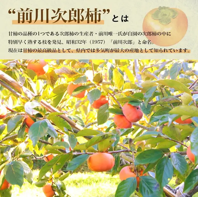 三重県産 たねなし 次郎柿 5kg（M以上）｜果物 柿｜きんちゃん農園