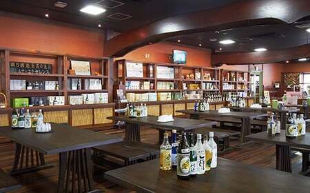 【定期便年12回】 限定 川辺 1,800ml（25度） 2本セット 焼酎 お酒