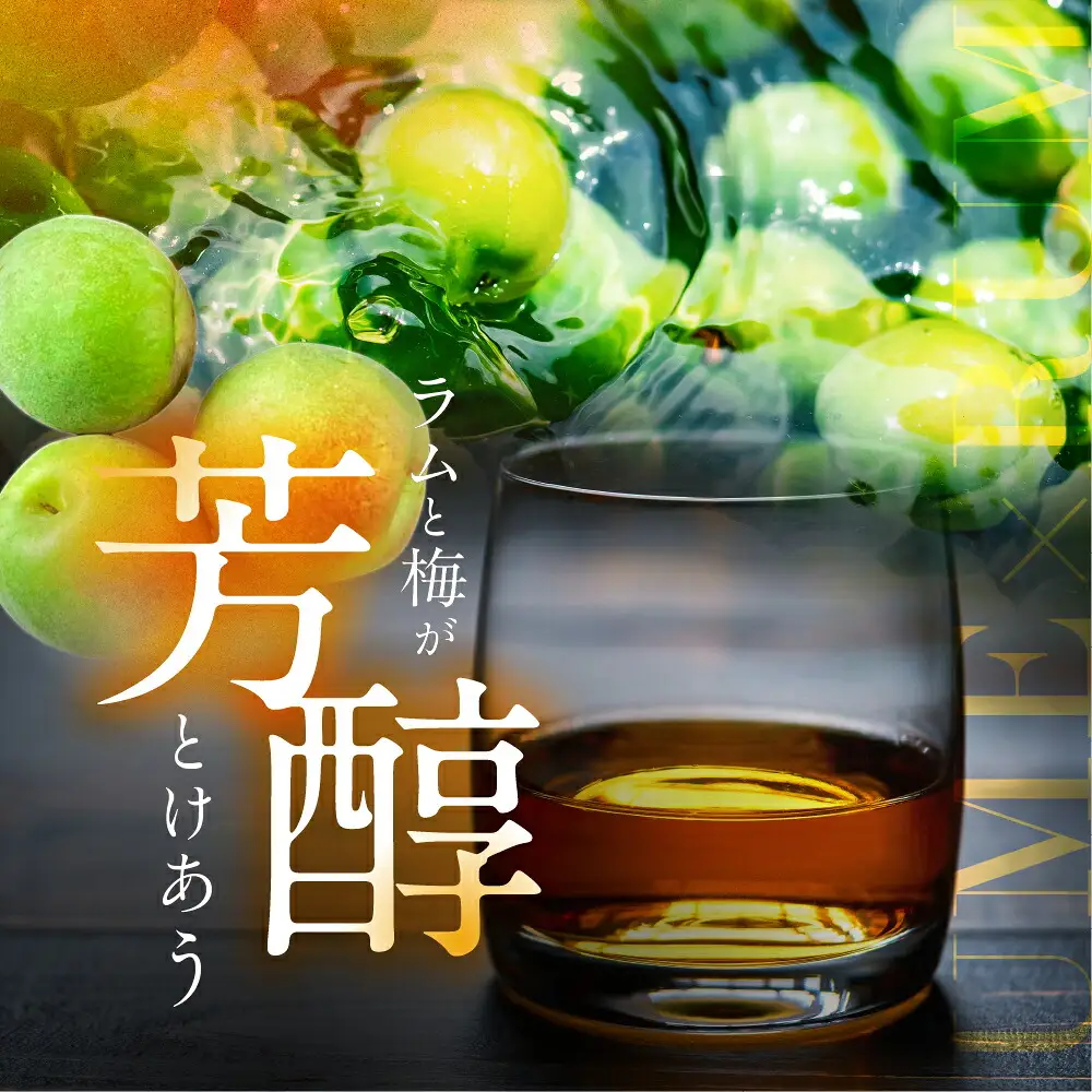 おひさまパン フルーツミックス 24缶 備蓄 缶パン 災害対策