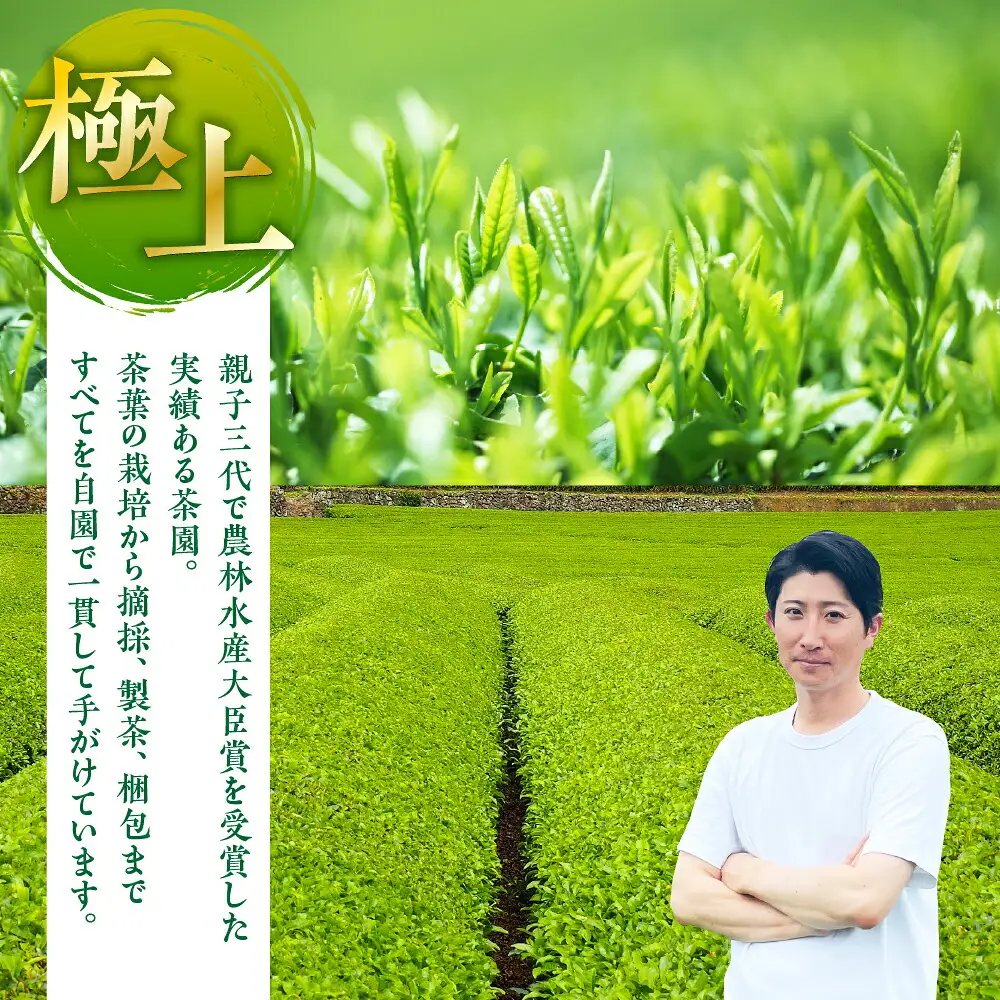 ティーバッグ大 4種飲み比べ 緑茶 お茶