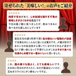 国産 炙りしめ鯖 7枚 （お試し小サイズ） ふるさと納税 魚 北海道 〆鯖 しめさば シメサバ 〆サバ ふるさと 鯖 小分け おつまみ 酒の肴 日本酒 酒 魚介 海鮮 冷凍 国産 人気 年末年始 白糠町_A012-1836-30