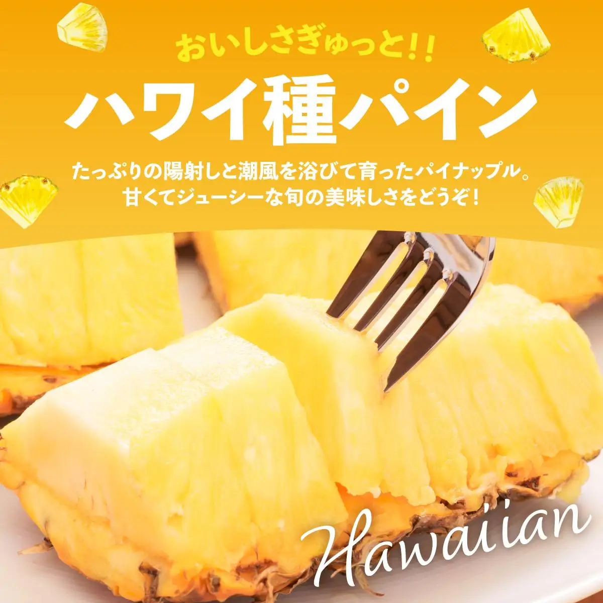 石垣島産 ハワイ種パイナップル 約4kg（3～8個）KP-02 