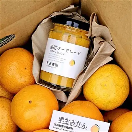 早生みかん5kg★蜜柑マーマレード入り★甘味と酸味のバランスが良く果肉もジューシー!【1687662】