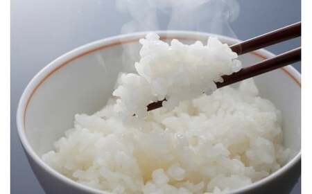 【令和7年産米】コシヒカリ 10kg 有機たい肥で育てた門外不出のコシヒカリ