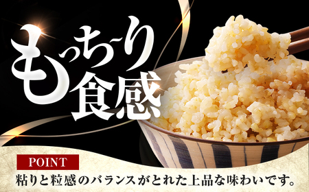  福井県産 コシヒカリ 玄米 10kg 一等級 /甘みと粘りが自慢 王道米 こしひかり 小浜市 / 若狭ふれいあい市場[BFEL001]