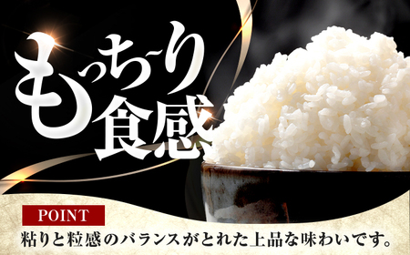 福井県産 コシヒカリ 精米 (白米) 10kg 一等級　福井県米 /甘みと粘りが際立つ 王道米 こしひかり 小浜市 / 若狭ふれあい市場[BFEL018]