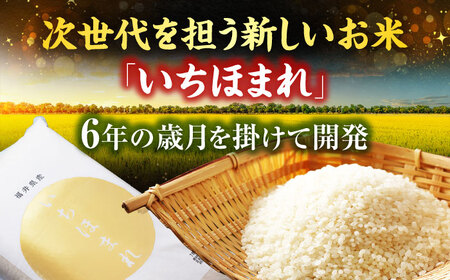  福井県産 いちほまれ 精米 (白米) 10kg 福井自慢のブランド米 一等級　福井県米 / コシヒカリ発祥 ブランド 特A常連 小浜市 / 若狭ふれあい市場[BFEL035]