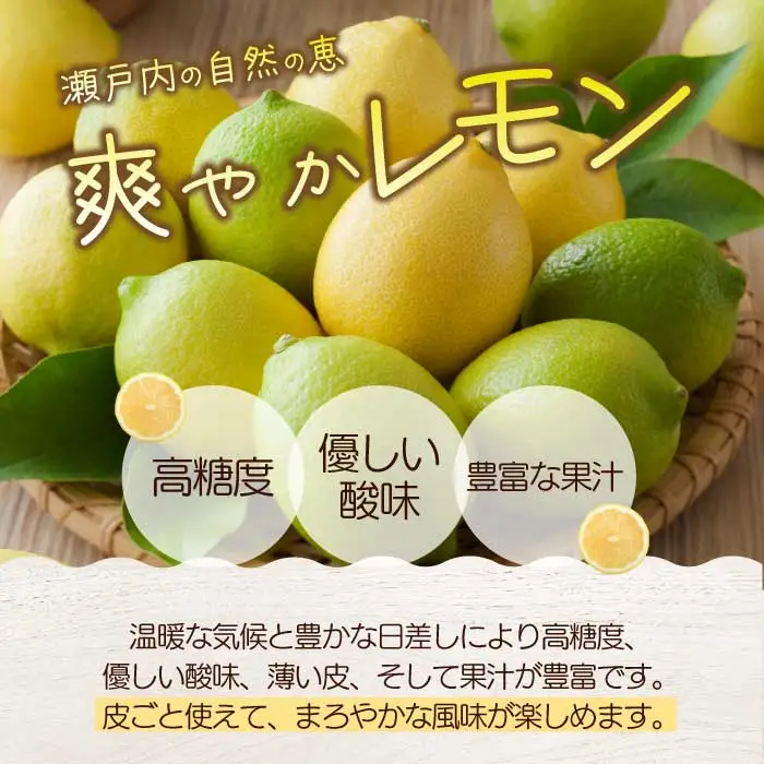 レモン 4.5kg 《2026年11月～2027年3月発送予定》栽培期間中 防腐剤 ワックス 不使用 おくはち農園 旬 柑橘 かんきつ フルーツ 果物  166022