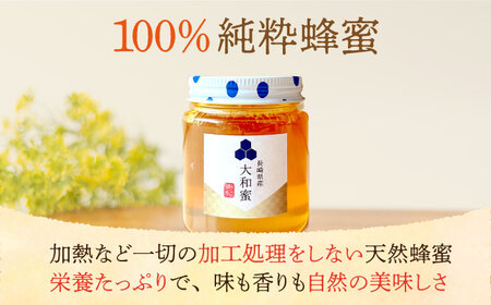 ★新蜜2025★【長崎県産】大和蜜（天然はちみつ）170g×2本 長与町/蜜ロマン養蜂園[ECE006]
