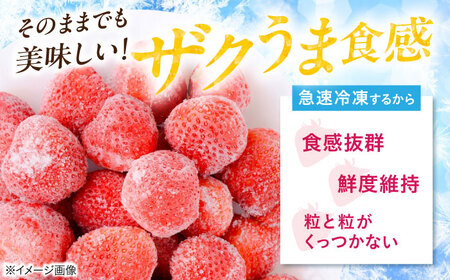 冷凍いちご 1kg（紅ほっぺ・かおり野） 滋賀県長浜市/株式会社みつなりのさと[AQBT013]