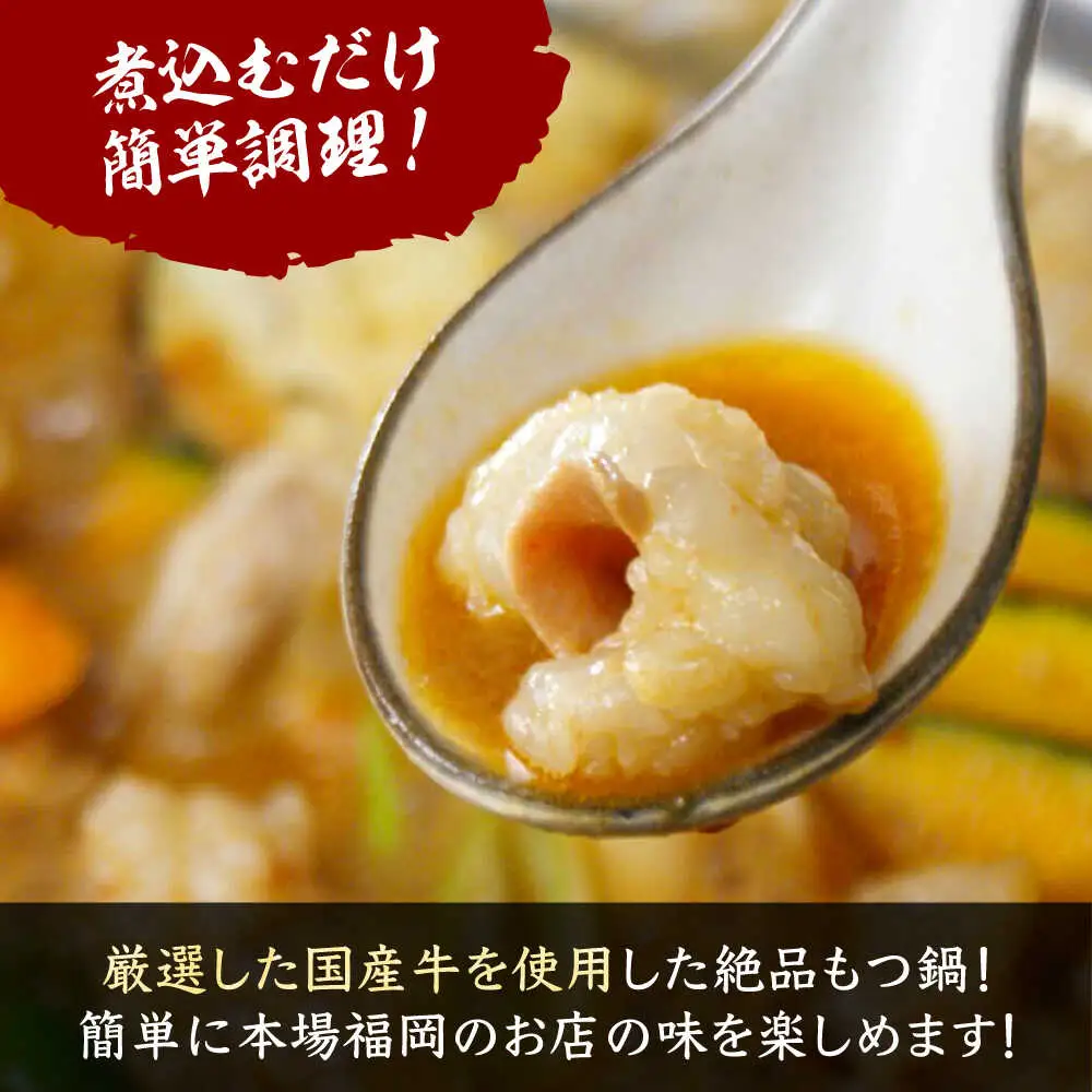 【全国放送されました】 元祖味噌もつ鍋セット 3人前 野菜無し 追加たれ付き 吉富町/焼肉・もつ鍋平壌屋[BGBU002]