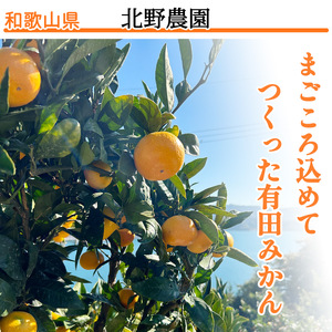 【2027年1月発送】秀品 有田みかん 和歌山県産 S～Lサイズ 大きさお任せ  約10kg_DZ6200_01