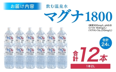 硬水ミネラルウォーター 「マグナ1800」 2L×12本 計24L