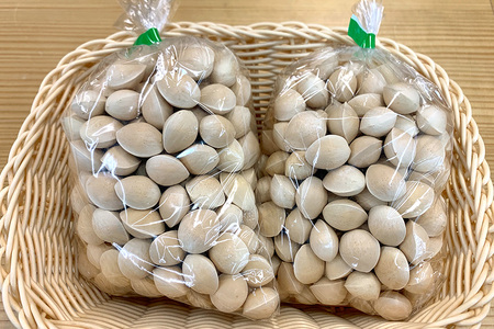 石岡市産　殻付き銀杏　500g×2袋 ぎんなん 銀杏 国産 茨城県 石岡市 B03-007
