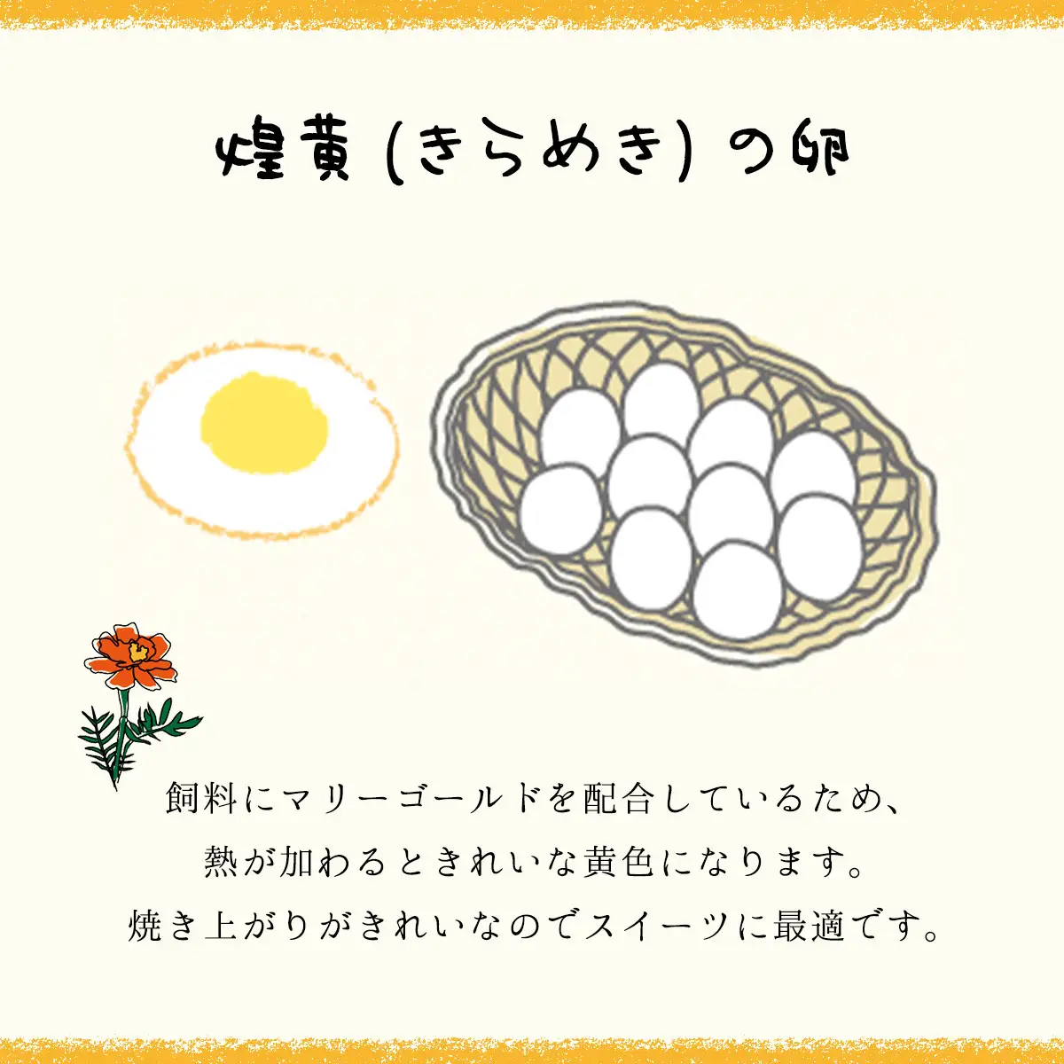 2ヶ月定期便 たまごやとよまる 煌黄20個 SMAS010 千葉県 山武市 卵 たまご タマゴ