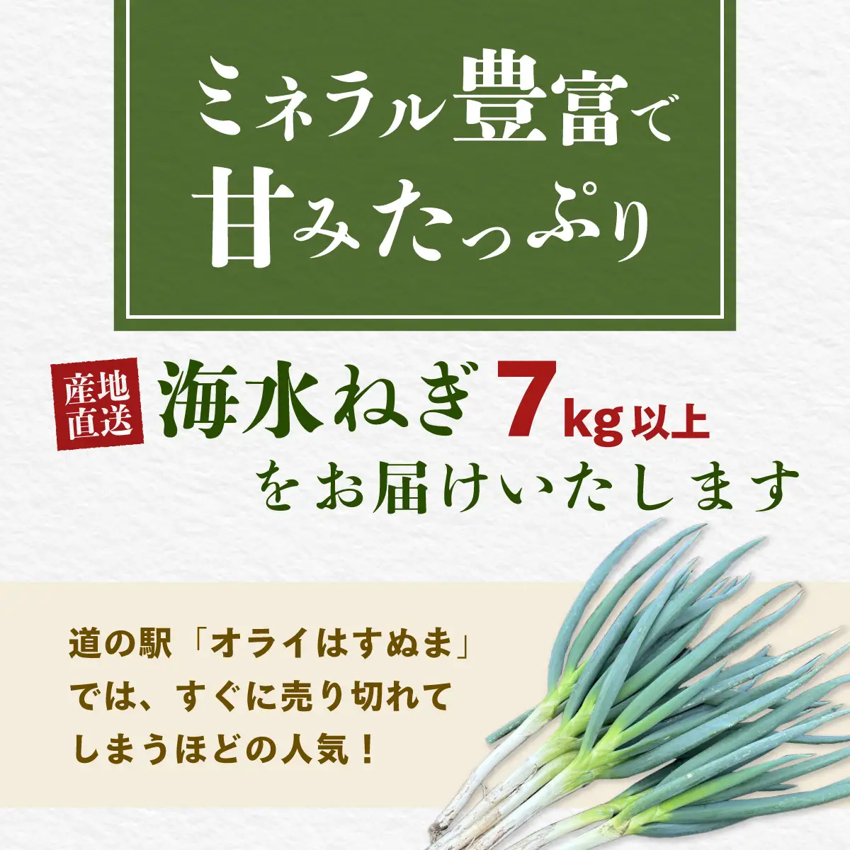 【先行予約】【山武市限定栽培】泥ネギでドドンと配送！ミネラル豊富で甘みたっぷりの「海水ネギ」７kg以上 / 地元の道の駅オライはすぬまで大人気の農家から直送! 【発送期間：2026年12月から2027年2月】SMCV002