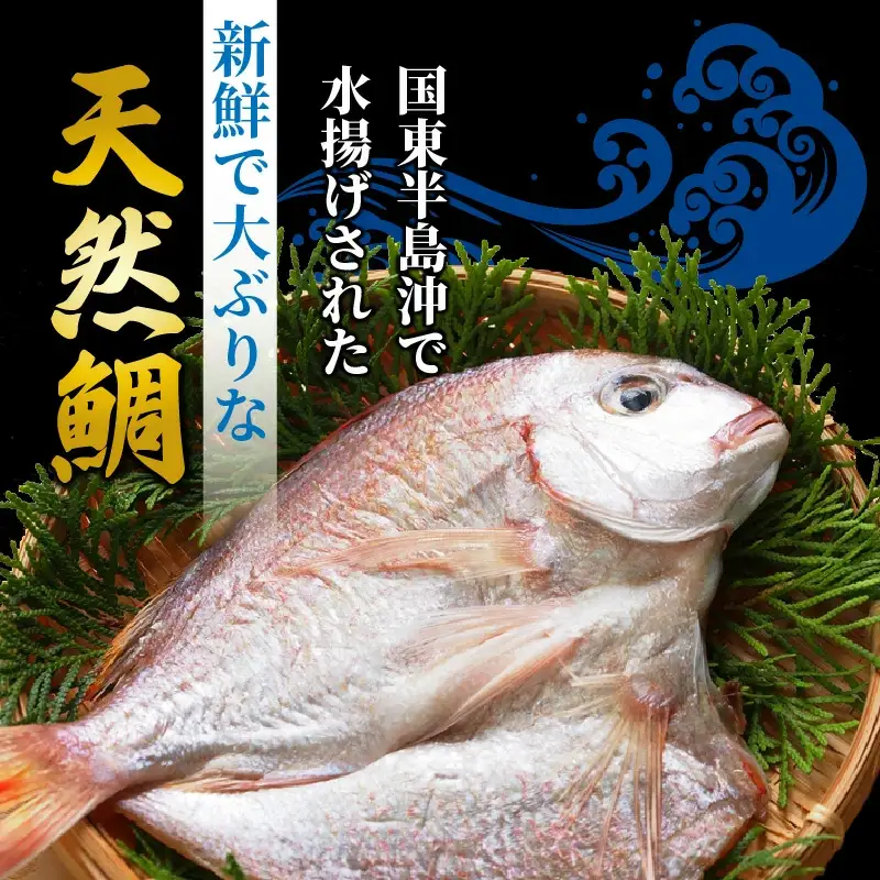 大きな天然鯛の一夜干し/3尾で1.2kg以上 _1061R