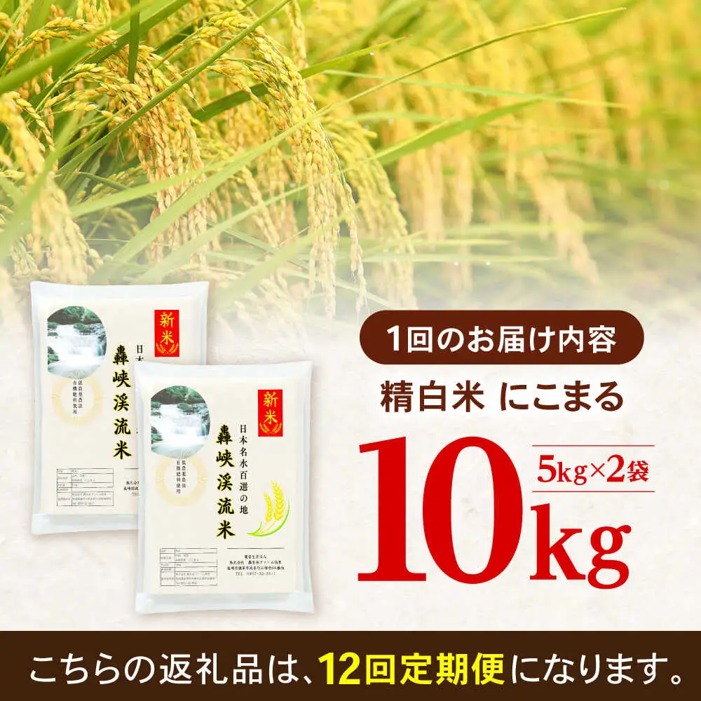 【12回定期便】 精白米(にこまる) 10kg 轟峡渓流米 / 米 白米 精白米 新米 / 轟名水ファーム高来 / 諫早市[AHFF012]