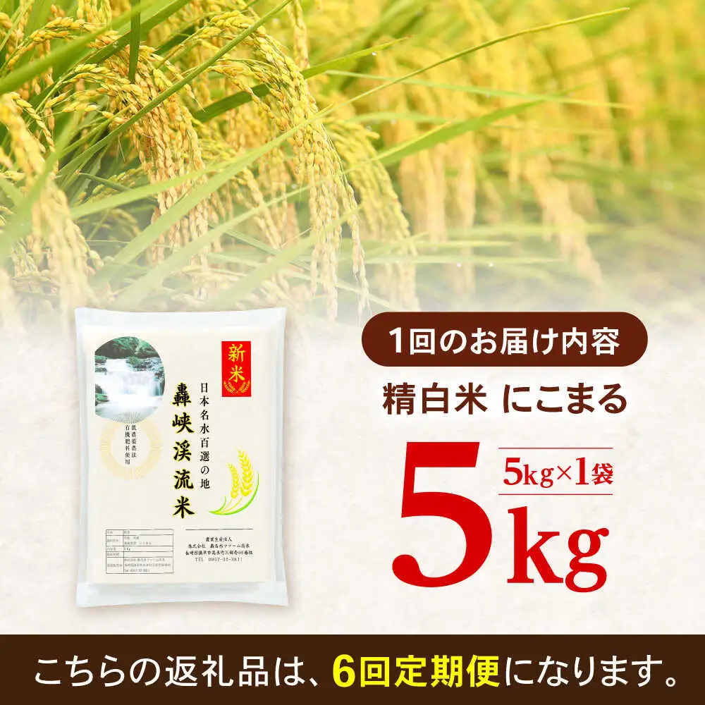 【6回定期便】 精白米(にこまる) 5kg 轟峡渓流米 / 米 白米 精白米 新米 / 轟名水ファーム高来 / 諫早市[AHFF013]