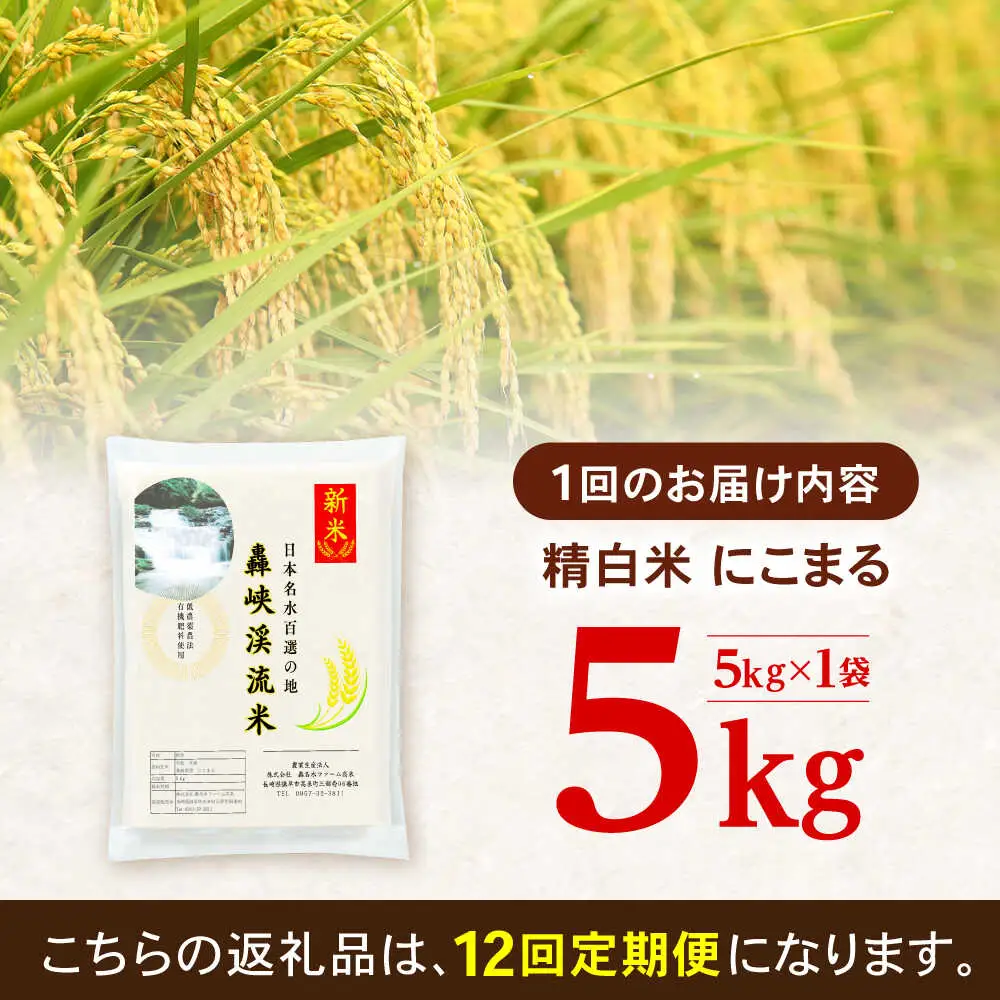 【12回定期便】 精白米(にこまる) 5kg 轟峡渓流米 / 米 白米 精白米 新米 / 轟名水ファーム高来 / 諫早市[AHFF014]