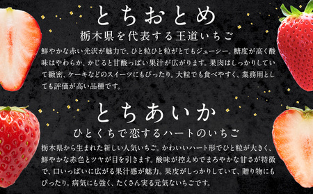 栃木いちご食べ比べとちおとめ+とちあいか2パック