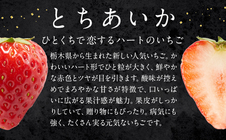 栃木いちごとちあいか4パック
