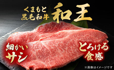 くまもと黒毛和牛 ｢和王｣ ヒレステーキ ・ ｢和王｣サーロインステーキ 食べ比べセット 計約720g (各2枚) / 牛肉 和王 黒毛和牛 ヒレ サーロイン 熊本県 菊陽町 【菊池地域農業協同組合】[BHBQ023]
