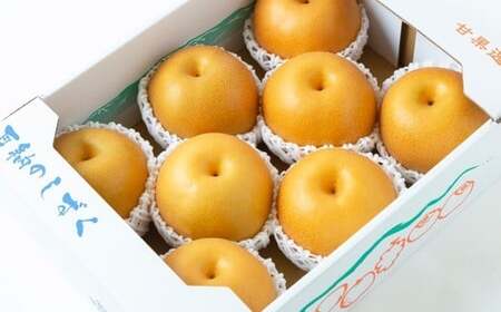 【先行予約】 鈴木農園 特撰甘果逸品 豊水梨 7玉から9玉 （約3kg） 【2026年8月下旬から9月上旬より順次発送予定】