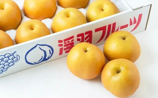 【先行予約】 鈴木農園 特撰甘果逸品 豊水梨 11玉から15玉 （約5kg） 【2026年8月下旬～9月上旬より順次発送予定】