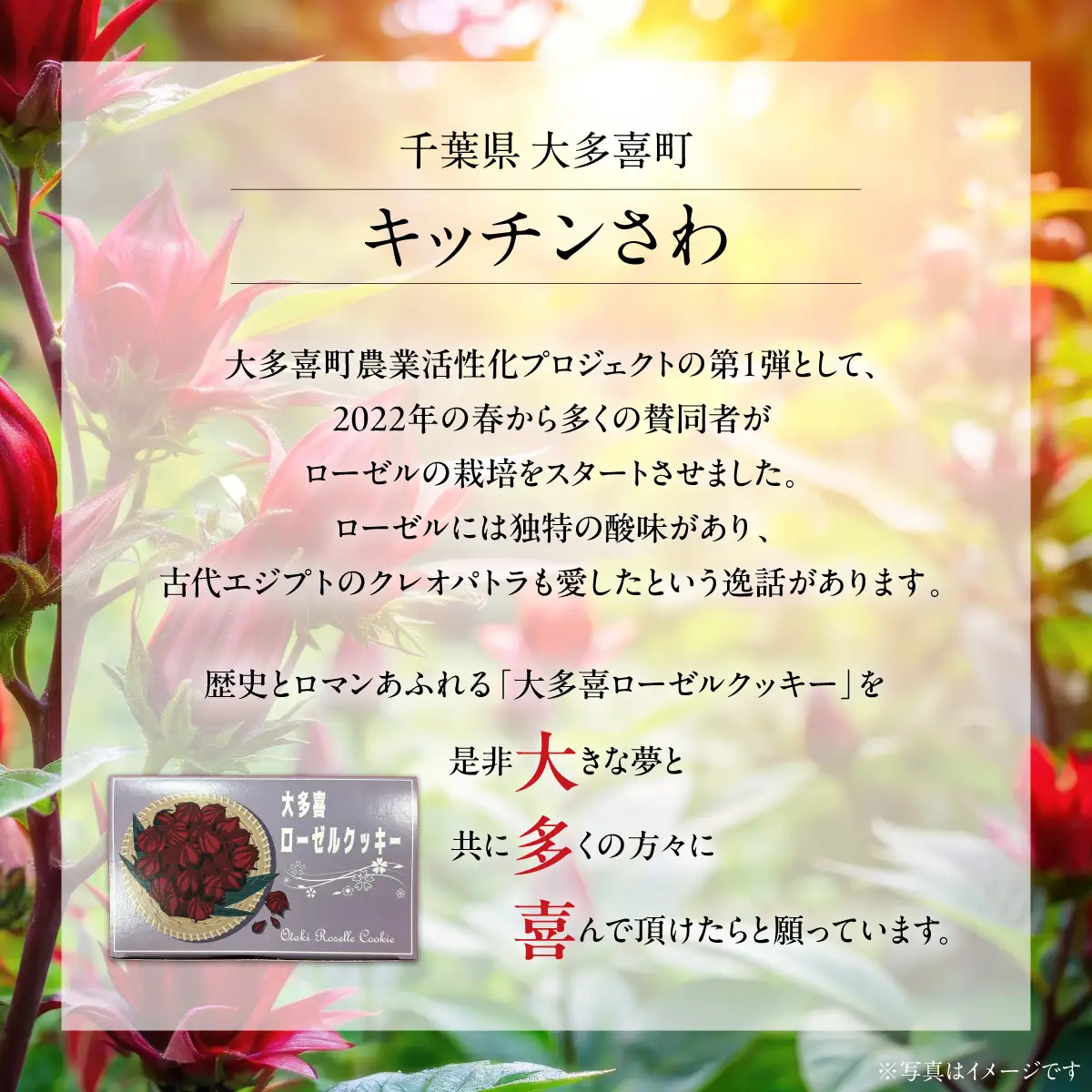 牛乳・卵・バター不使用　ココナッツの香りがやさしい 大多喜ローゼルクッキー W025501
