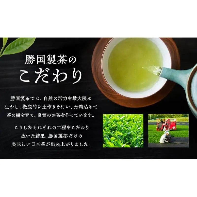 粉末緑茶 20g （1g×20本） 5袋セット お茶 スティック