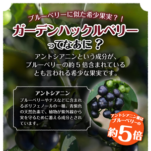 GH（ガーデンハックルベリー）ジャム2個&飲む酢2本セット 岩手県奥州市江刺産[BB004]