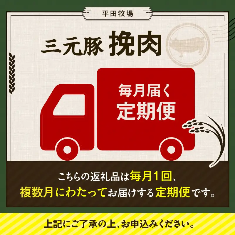 【 全3回 毎月 定期便 】 日本 の 米育ち 平田牧場 三元豚 ひき肉 600g T036-T12-01 肉 豚肉