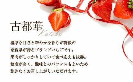 【2026年1月下旬～発送予定】いちご 古都華 約250g×2パック