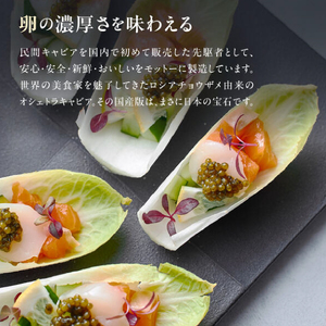 【純国産キャビア】オシェトラキャビア 60g 皇帝の涙 国産 チョウザメ 魚卵 宮崎県 小林市