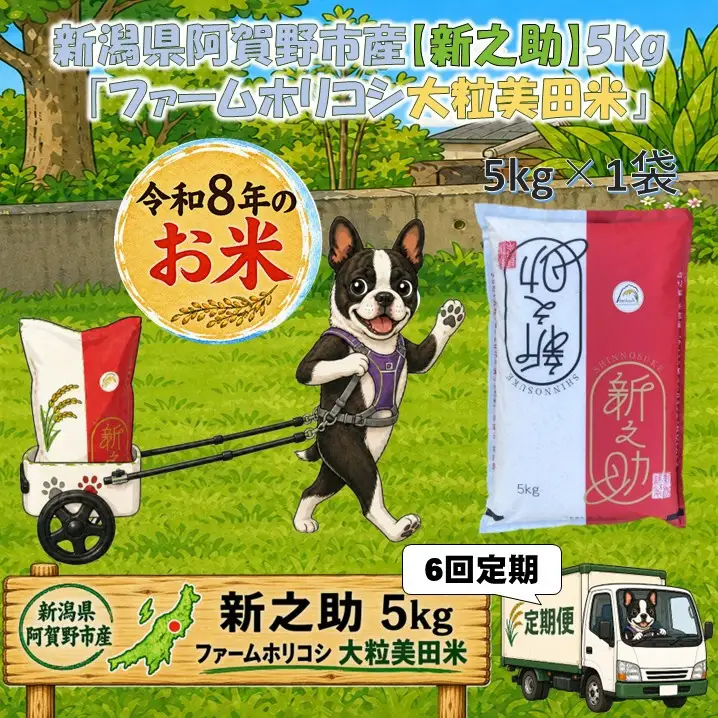 【令和8年産新米】【6ヶ月定期便】阿賀野市産 新之助「ファームホリコシ 新之助」 5kg×6回  白米 精米 新潟県 米 こめ コメ 10月上旬頃より発送開始予定 3H18084