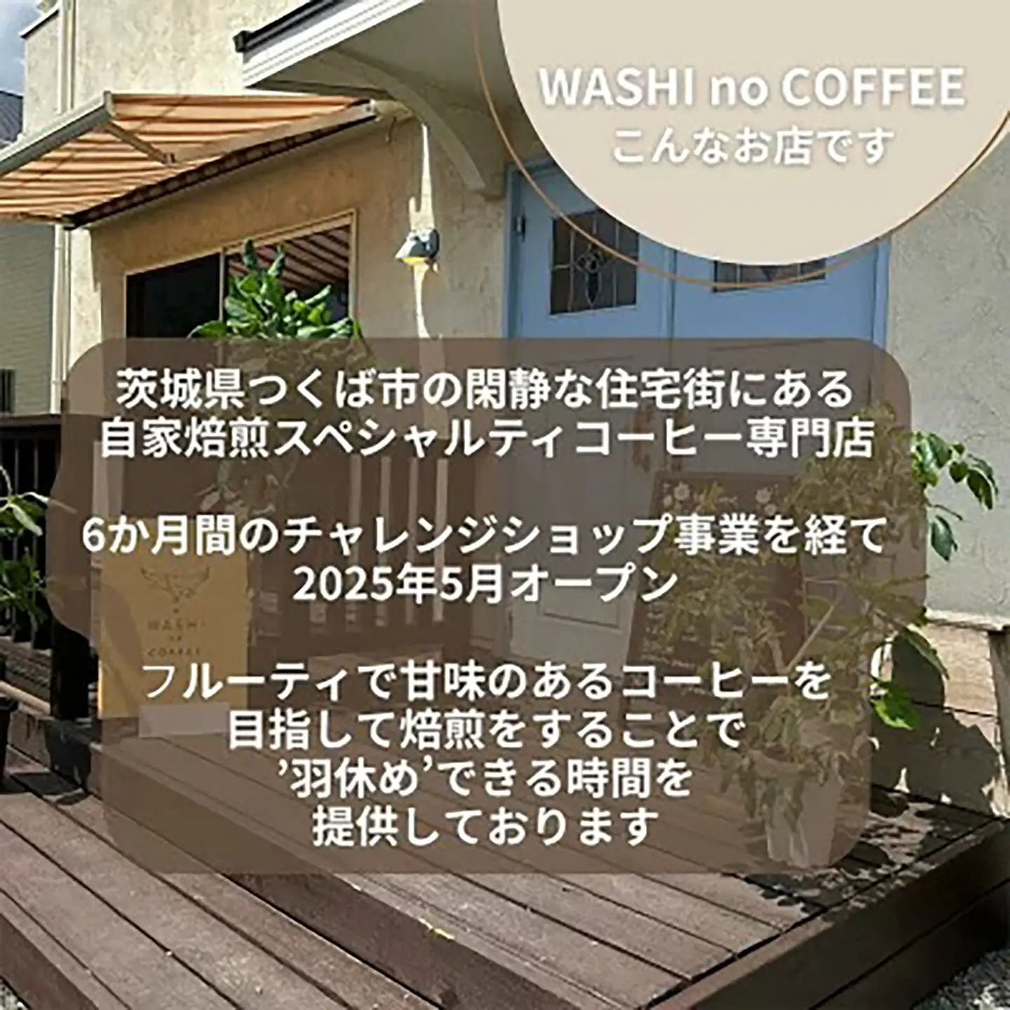 コーヒー 厳選スペシャルティコーヒー豆300g（100g×3）