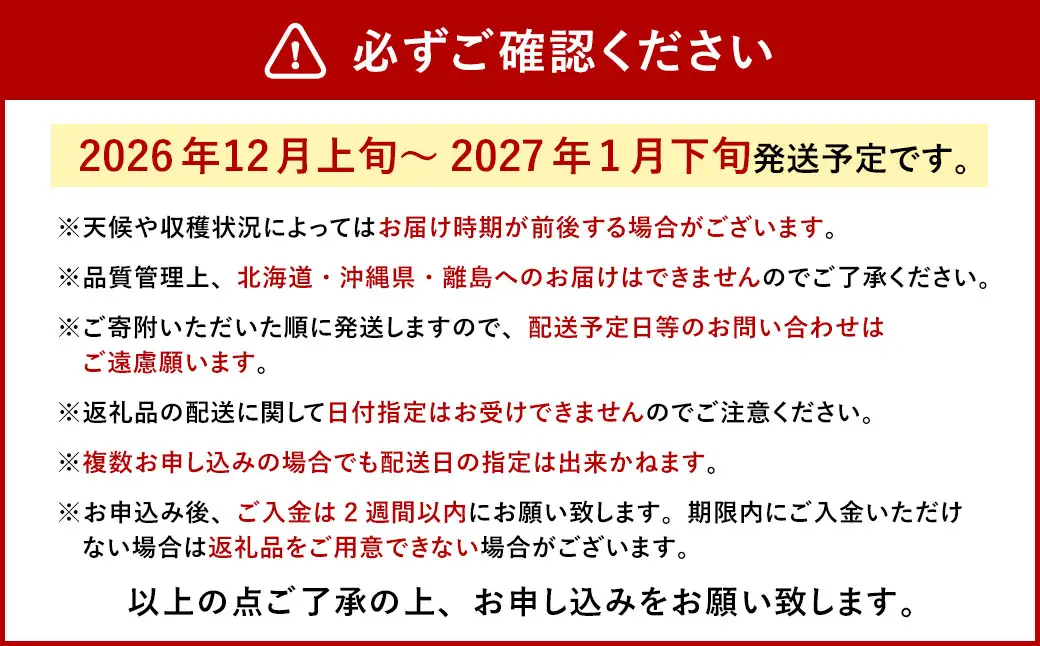 今季初採れあまおう 2パック 【数量限定】 【2026年12月上旬～2027年1月下旬発送予定】 あまおう いちご イチゴ 苺 フルーツ 果物 初採れ 国産 福岡県産 福岡県 遠賀町 冷蔵 