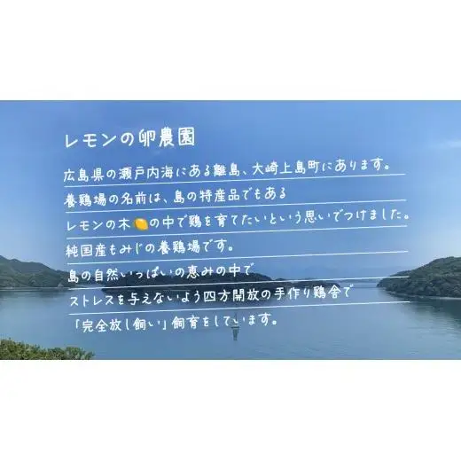 大崎上島産 もみじの 卵 20個 ( 18個+割れ保障2個 )