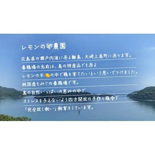 大崎上島産 もみじの 卵 30個 ( 27個+割れ保障3個 )
