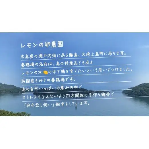 大崎上島産 もみじの 卵 40個 ( 36個+割れ保障4個 )