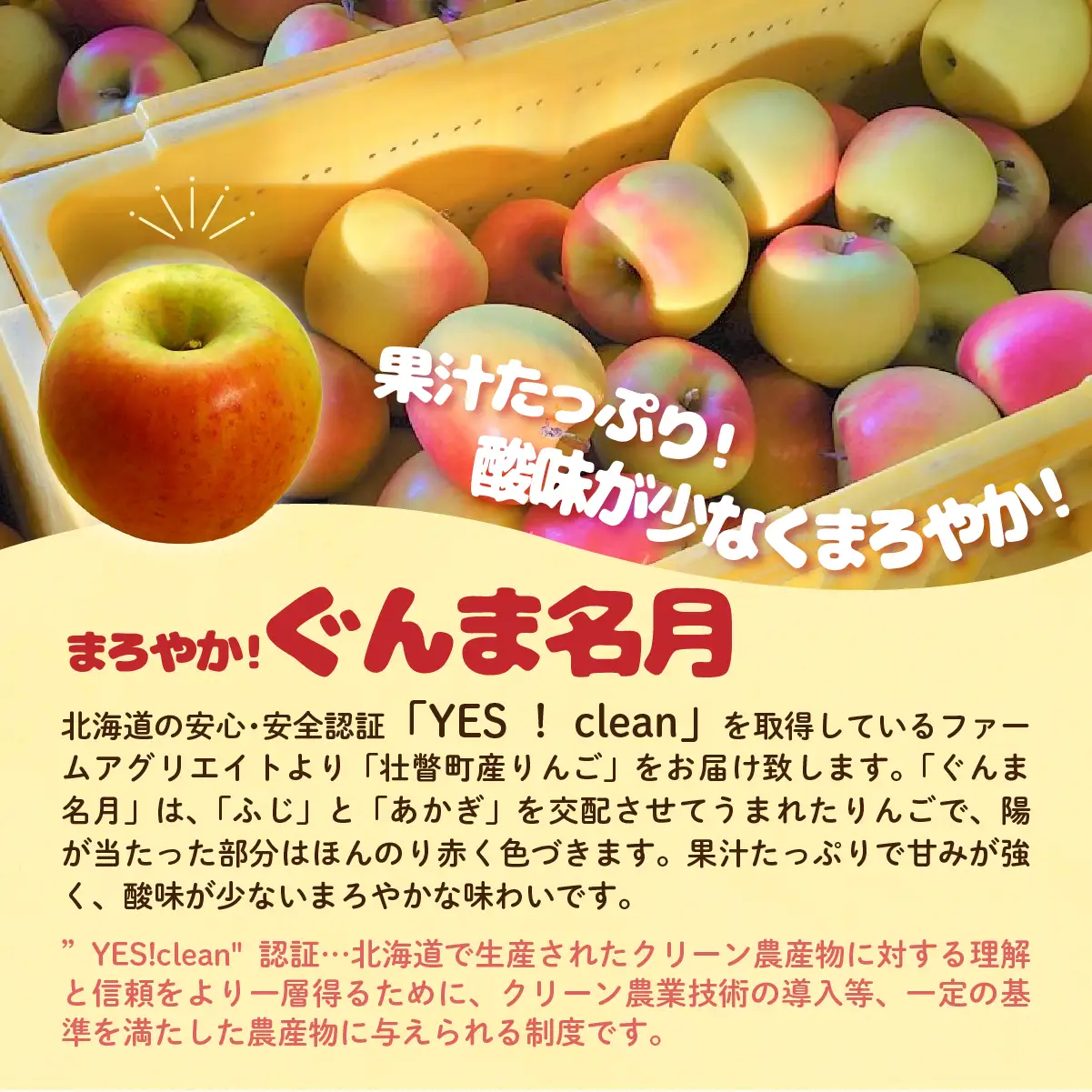 【先行予約】 ぐんま名月 約5kg 2026年11月中旬頃～発送予定 SBTB014