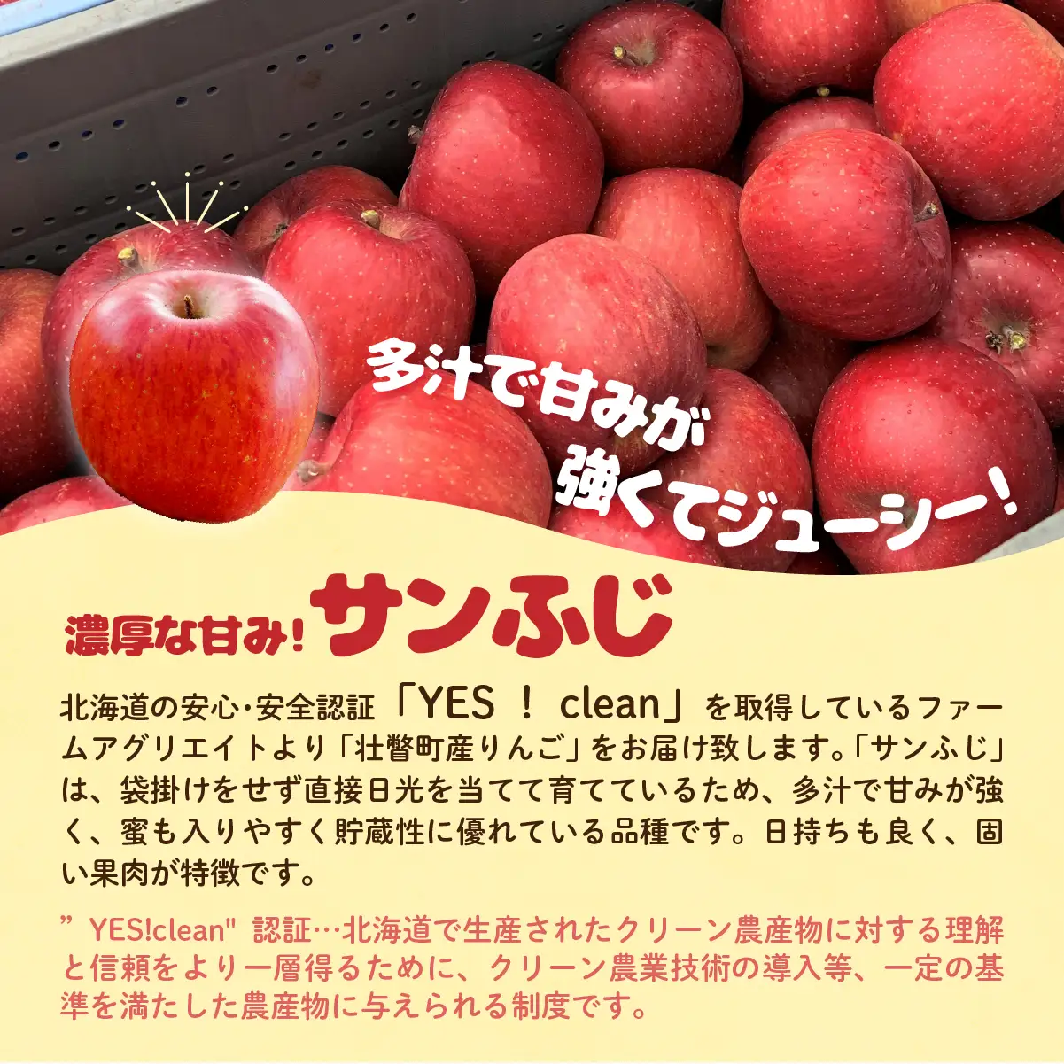 【先行予約】 サンふじ 約5kg 2026年11月中旬頃～発送予定 SBTB015