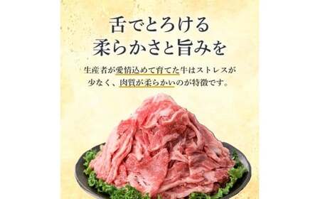 国産黒毛和牛切り落とし 600g （ 国産 牛 牛肉 黒毛和牛 切り落とし 真空 小分け 冷凍 宮崎県 小林市 ）